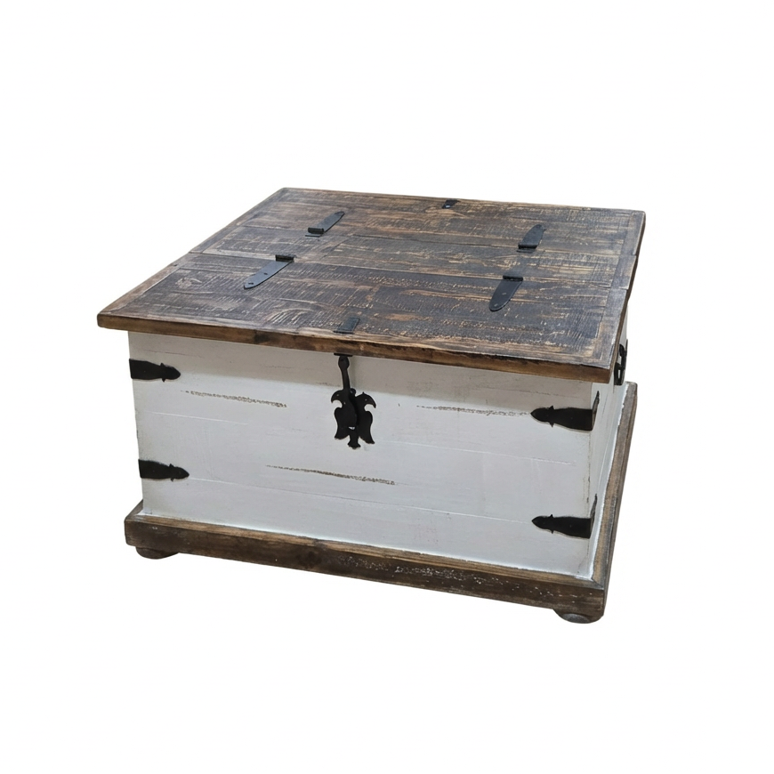 Branson Trunk Coffee Table